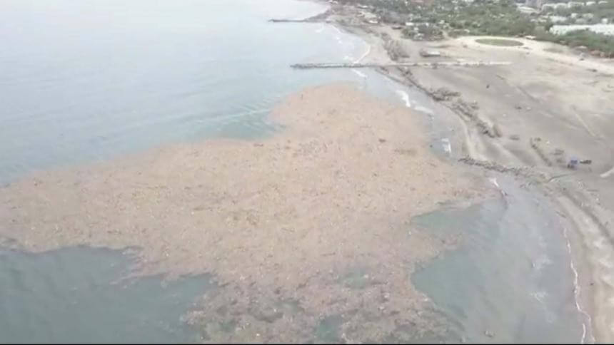 Impresionante isla de basura contamina las playas de Puerto Colombia, Atlántico