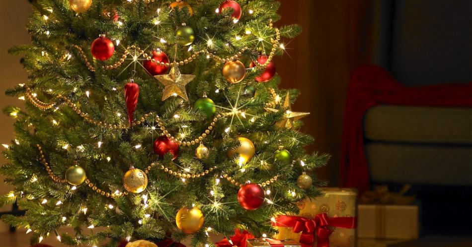 Cómo elegir el árbol de navidad perfecto
