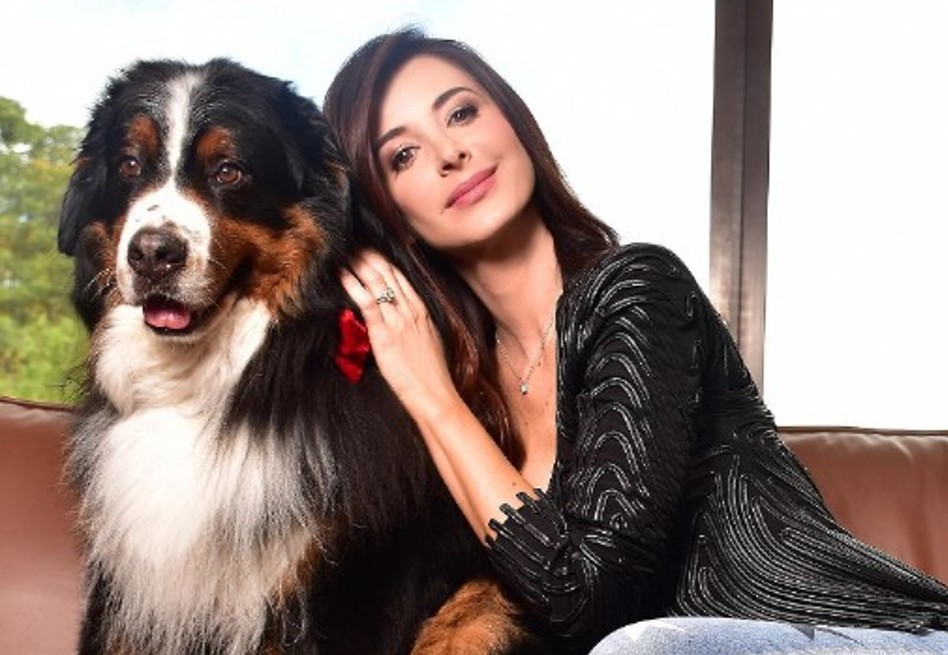 El bernés de la montaña estuvo con la presentadora desde que era un cachorro.