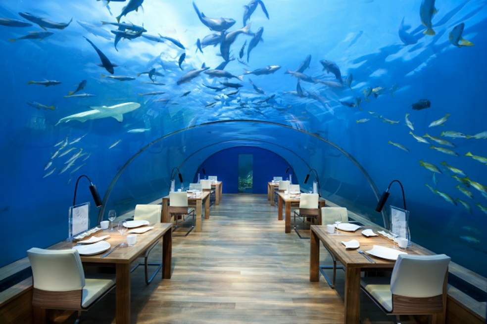 Conrad Maldives Rangali Island / Seis de cada diez viajeros (60 %) afirman que les gustaría quedarse en un alojamiento bajo el mar. 