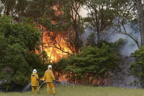 Cerca de 48 horas completa incendio forestal en Tena, Cundinamarca