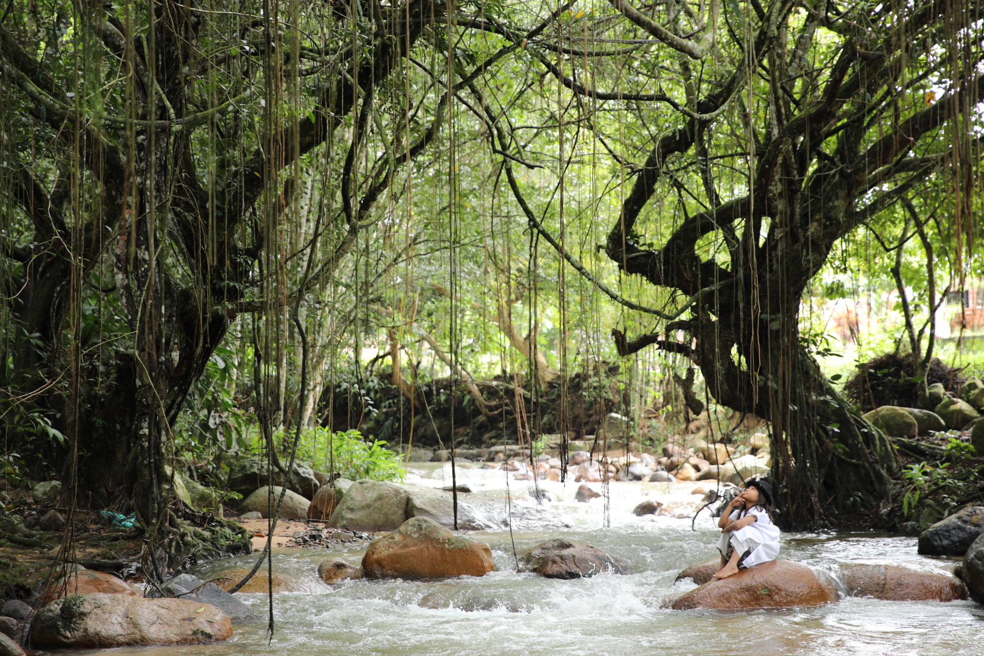 Pueblo Bello, Cesar: un viaje a la cultura ancestral y la belleza natural