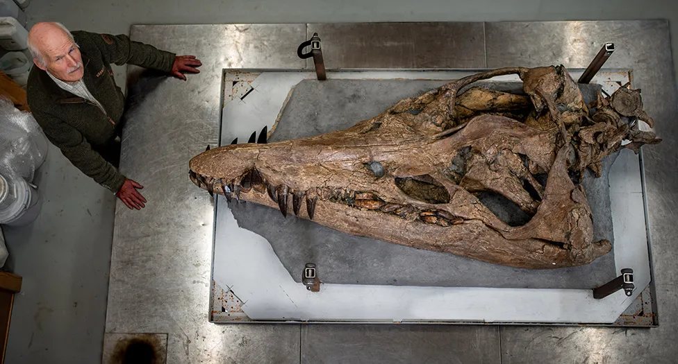 Descubrieron el cadáver de un antiguo “monstruo de mar” en Inglaterra