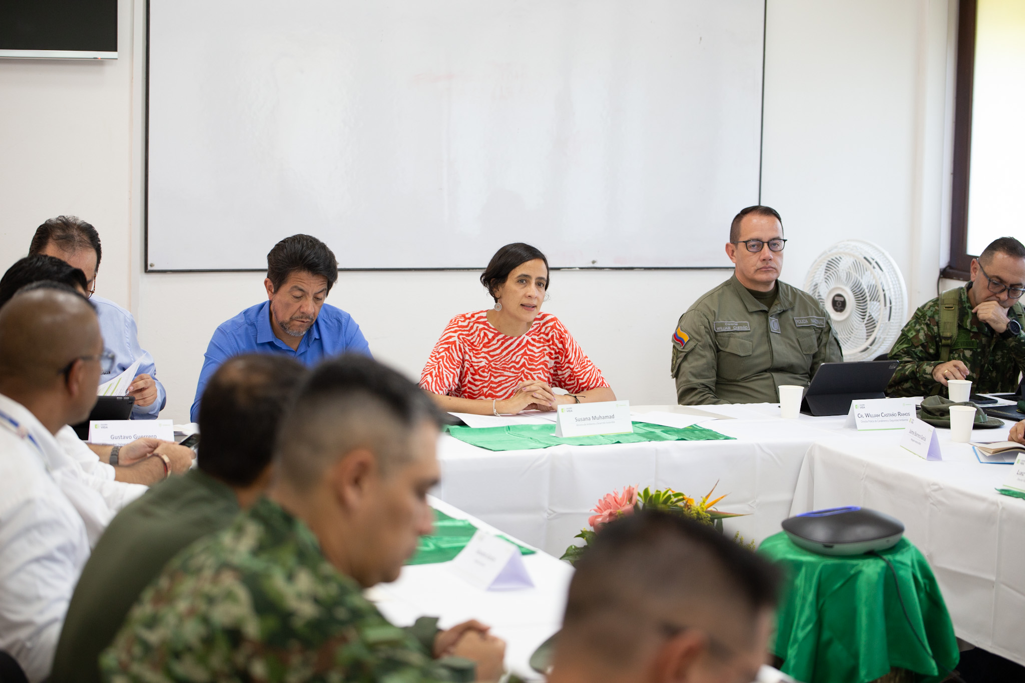 Ministerio de Ambiente inhabilitará vías ilegales utilizadas para deforestar
