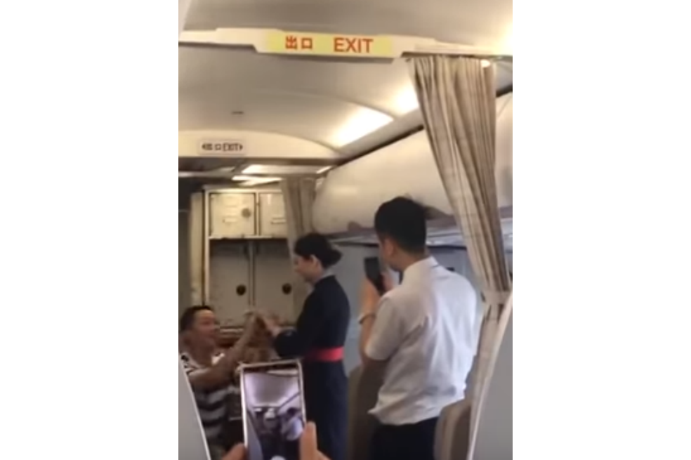 Despiden a azafata porque su novio le pidió matrimonio en pleno vuelo