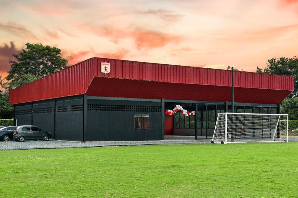 Sede del América de Cali fue atacada por abejas africanas: Tulio Gómez pide ayuda