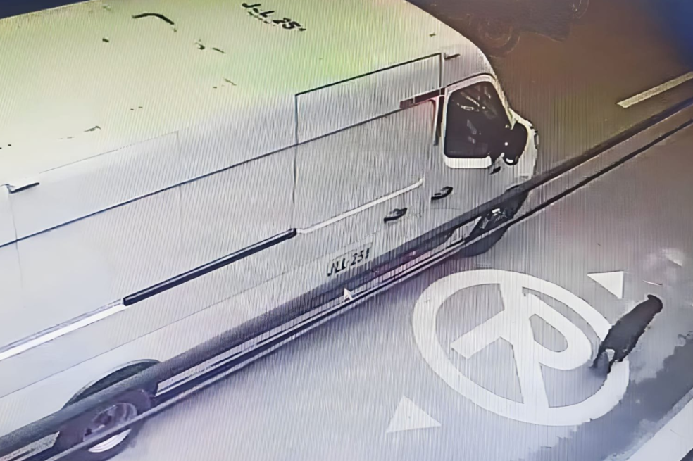 Autoridades de Itagüí buscan a hombre que atropelló a perrita y escapó