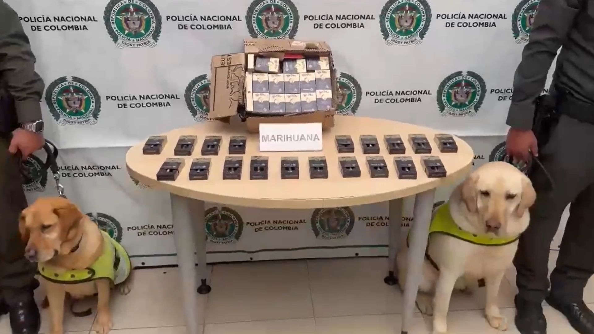 En una semana, autoridades incautaron 53 kilos de droga en el aeropuerto El Dorado