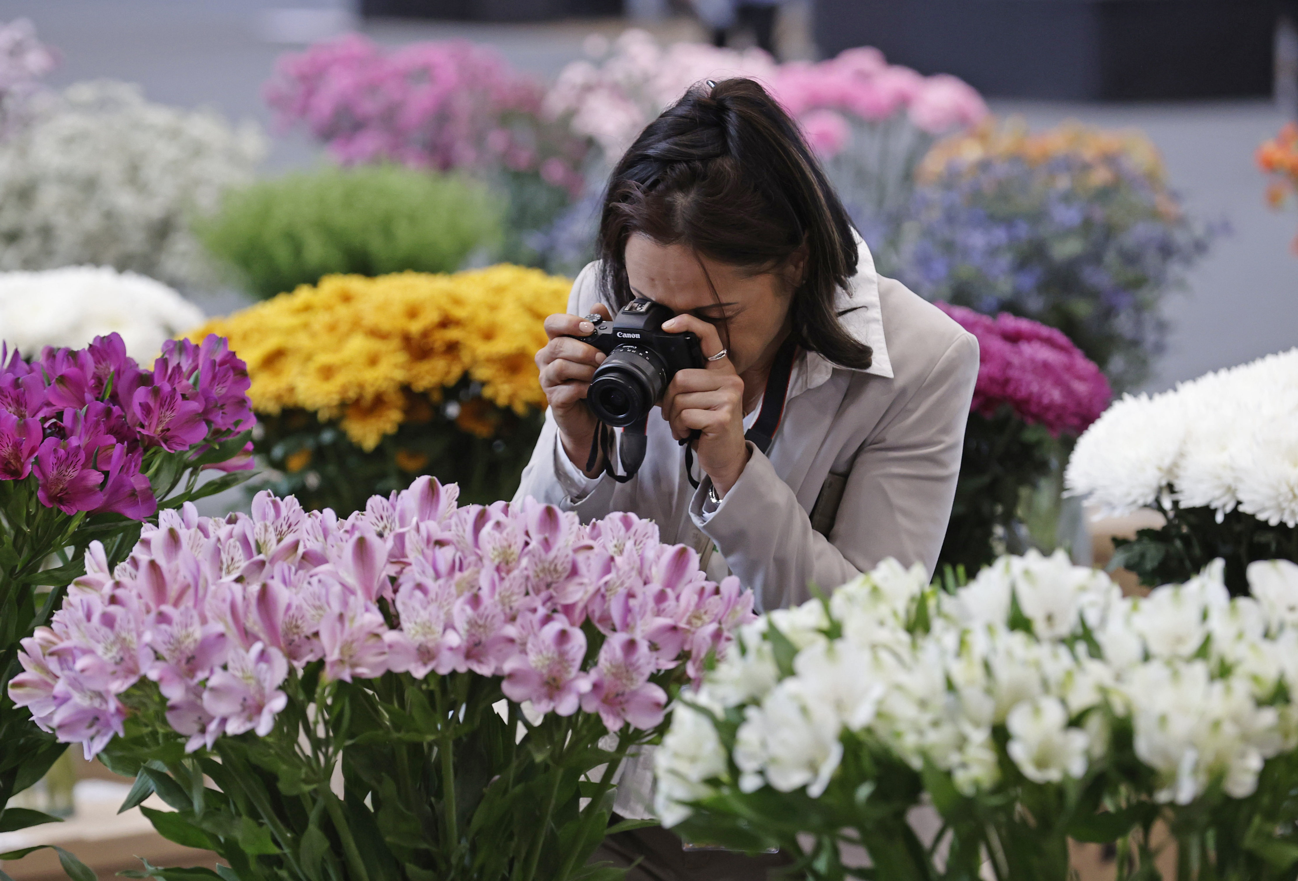 Proflora 2025: la floricultura colombiana se reúne para potenciar su desarrollo