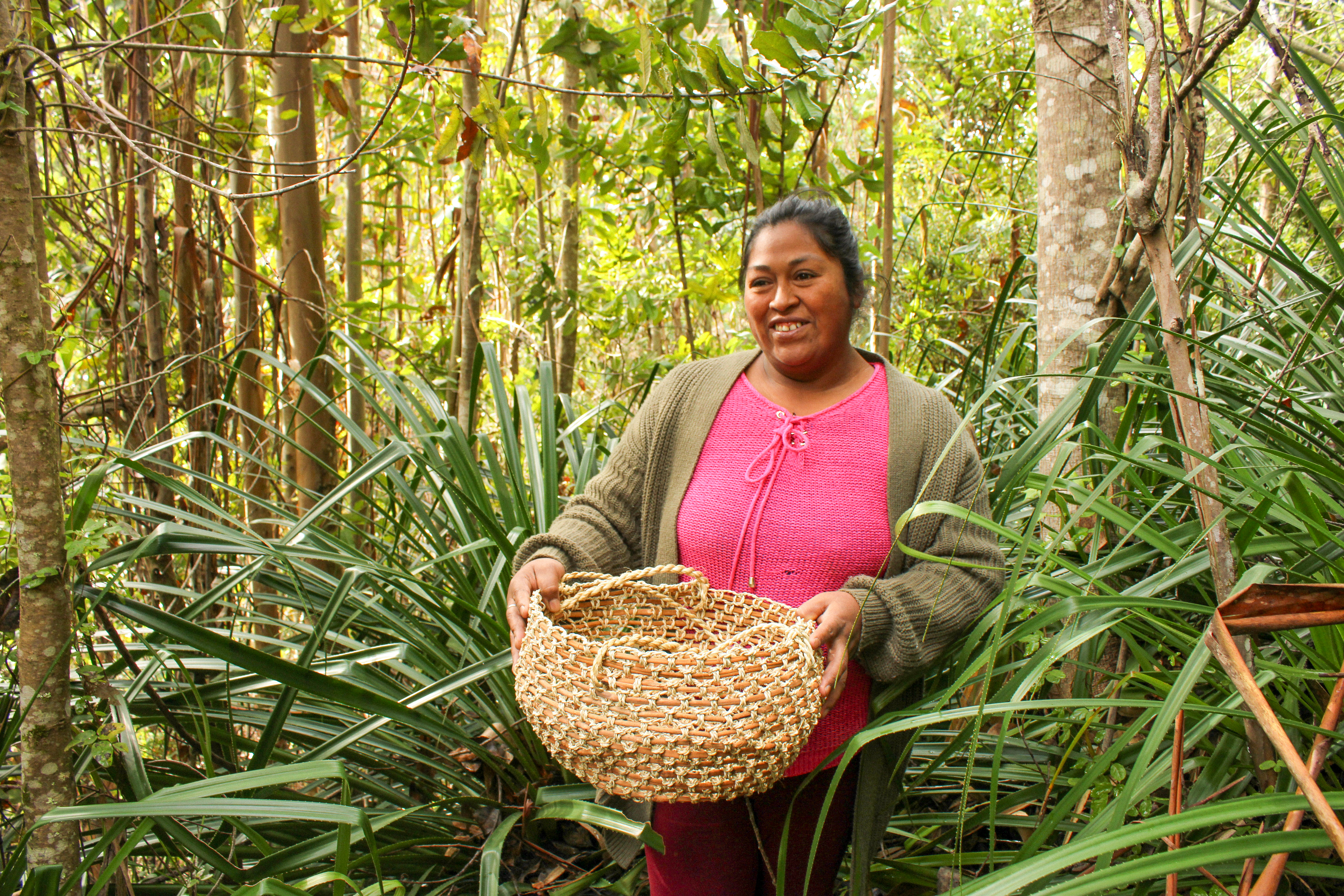 Revirtiendo la deforestación de la mano del fortalecimiento de comunidades rurales