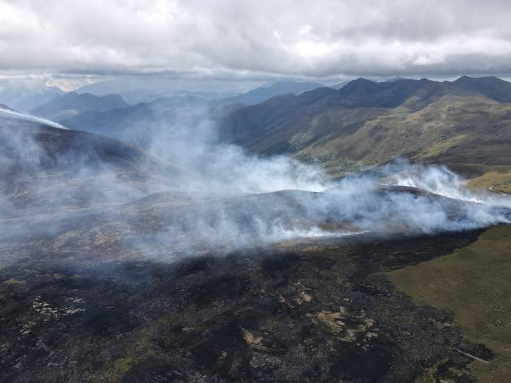 Colombia amanece con 31 incendios forestales activos. Gobierno declararía emergencia
