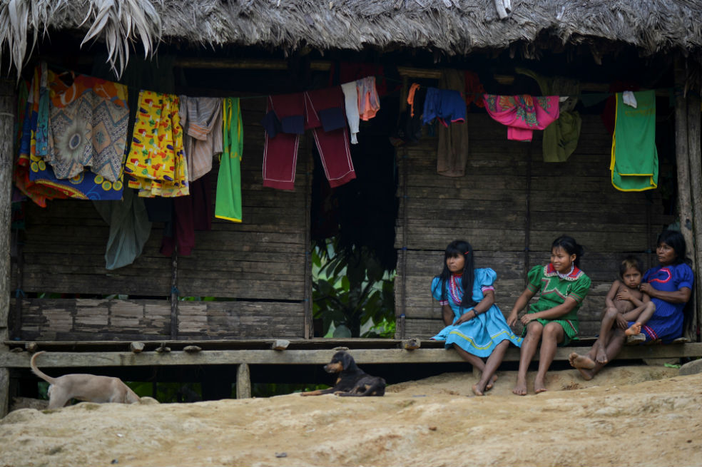 Hambre y miedo: así golpea la violencia en las selvas de Colombia