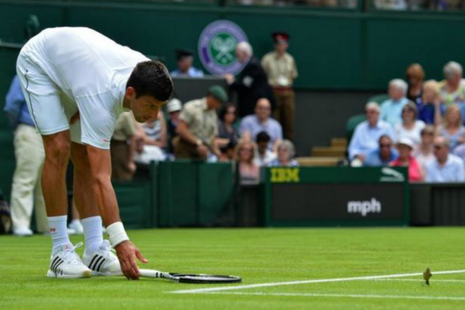 El inolvidable año de Djokovic y otras grandes temporadas