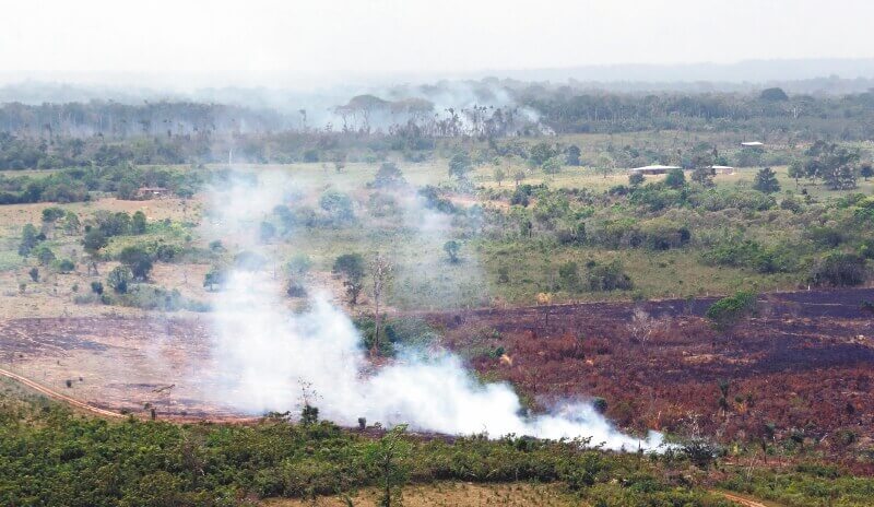 Crisis y violencia en Parques Naturales