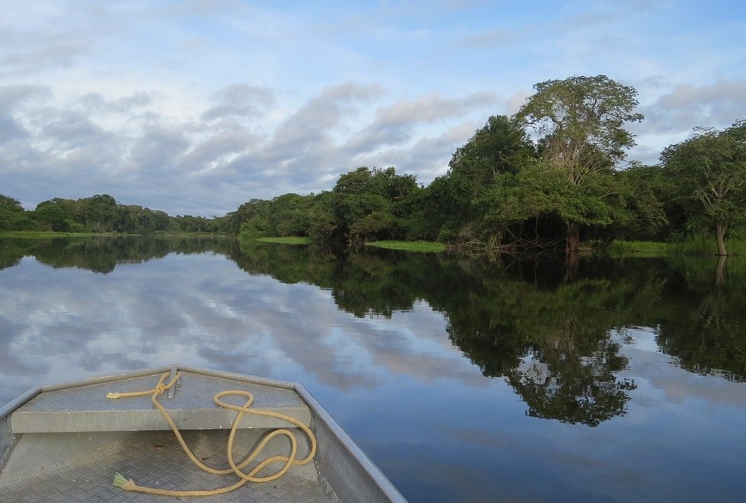 El “mico” en la resolución de sustracción de bosques del Minambiente