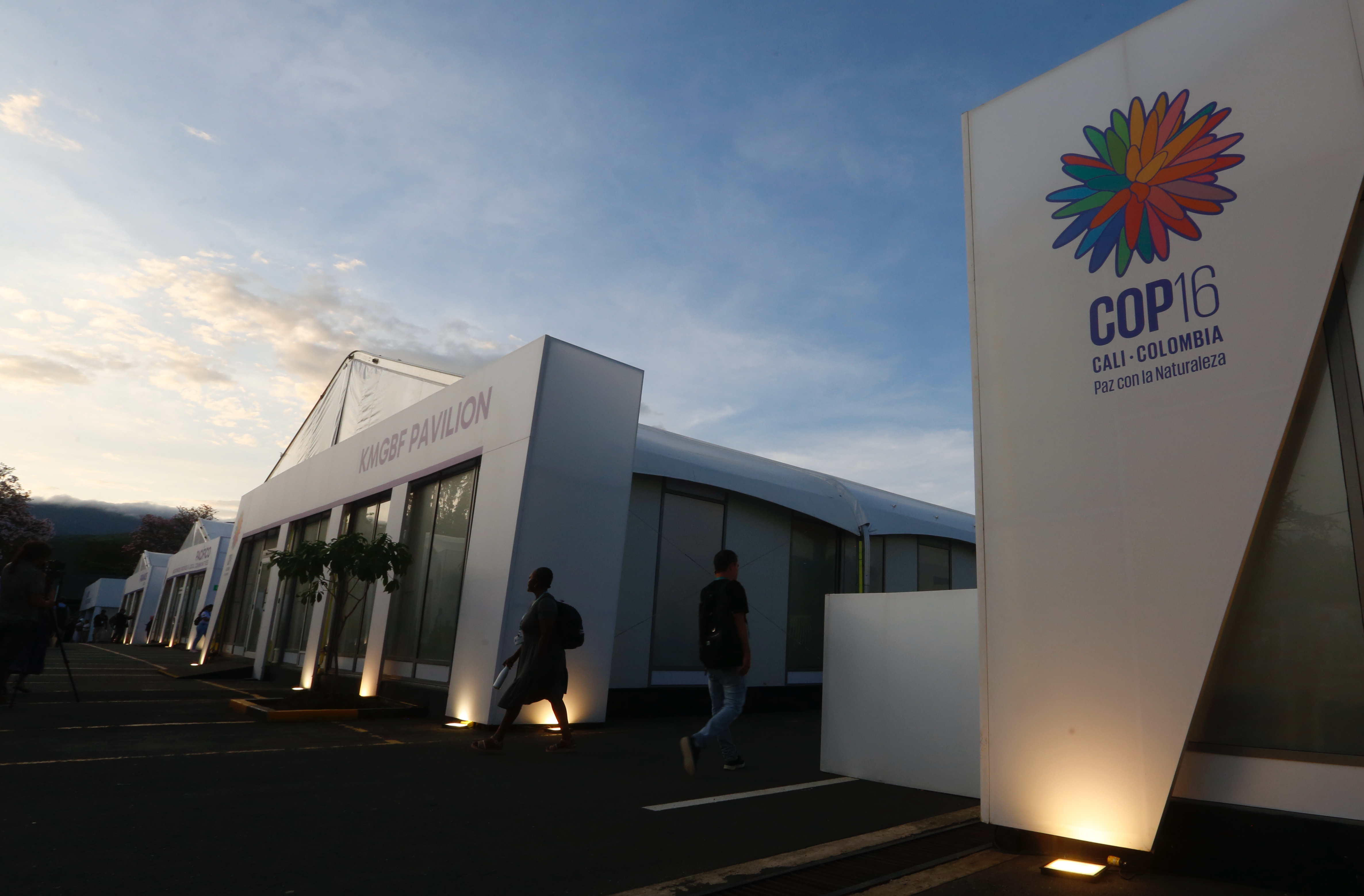 COP16: reflexiones finales y los retos de Colombia para el 2030, un año clave