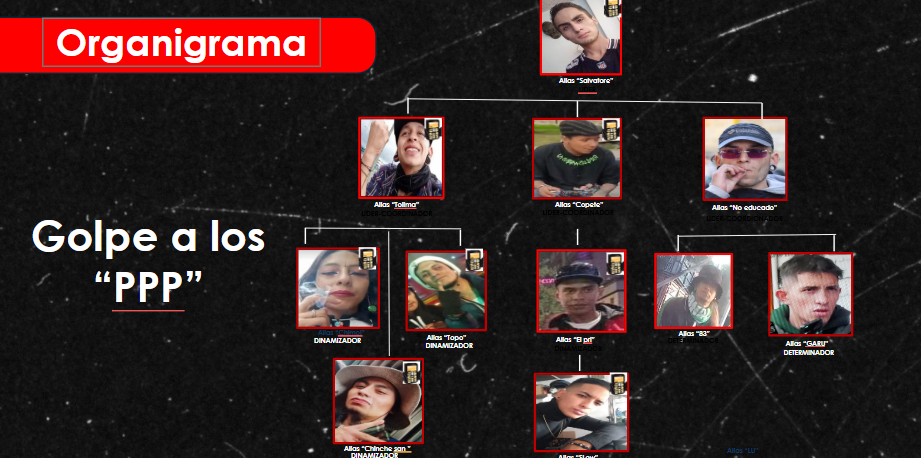 Organigrama de los PPP elaborado y compartido por las autoridades.