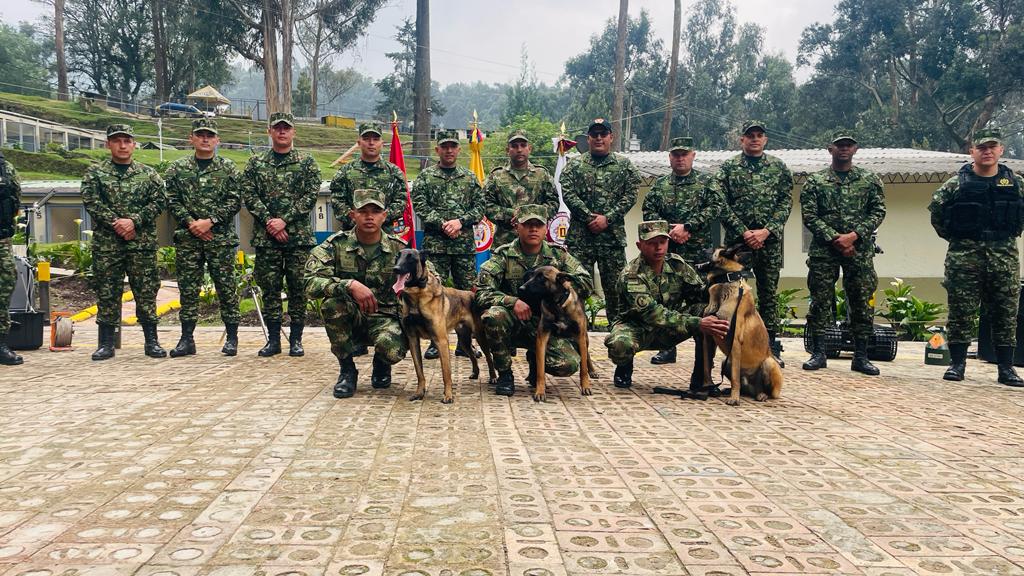 Así es Wilson, el perro que buscan en la selva del Guaviare.