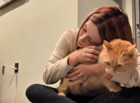 (Video) Mujer rescató a la misma gata dos veces y le devolvió la confianza