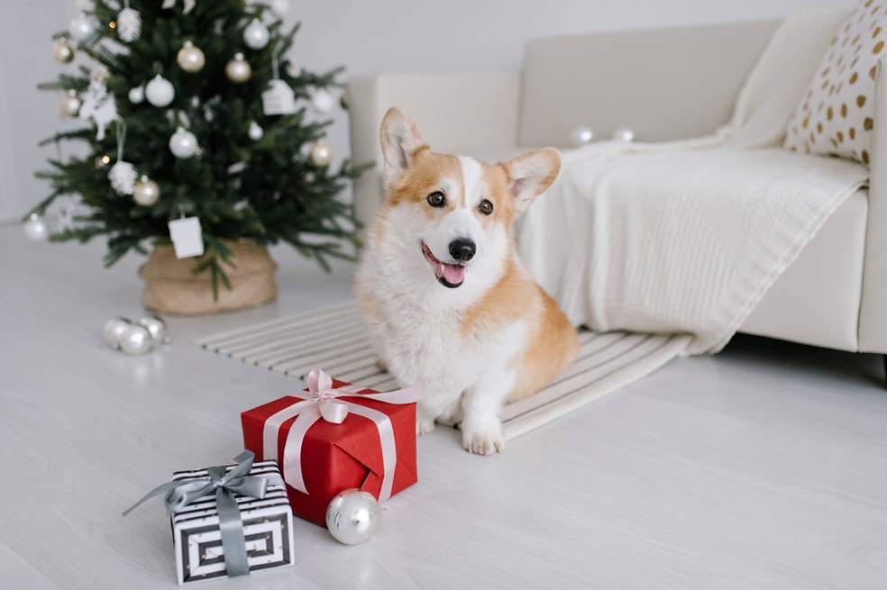 Tendencias de Navidad 2022: esta es la decoración navideña de moda