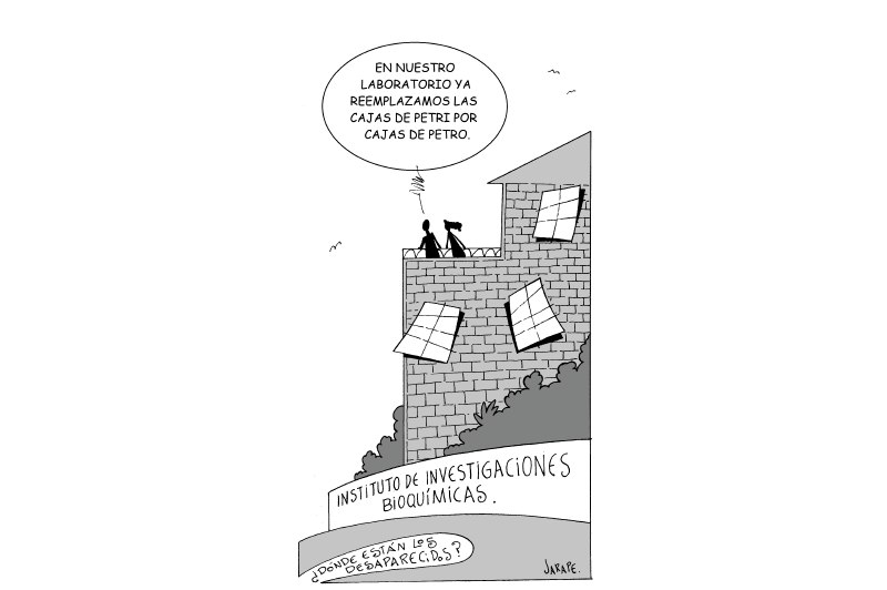 Cándida