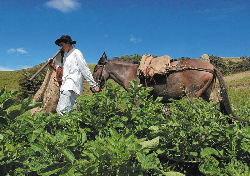 Los cuestionamientos a las cifras del Gobierno sobre la Reforma Rural