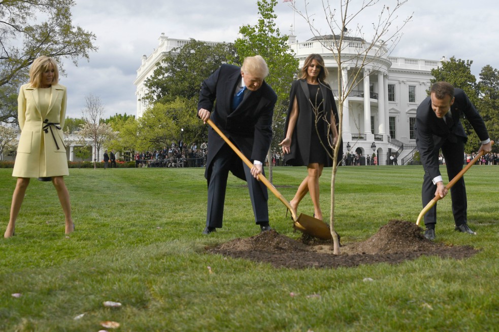 Desaparece el roble que Trump y Macron plantaron en la Casa Blanca