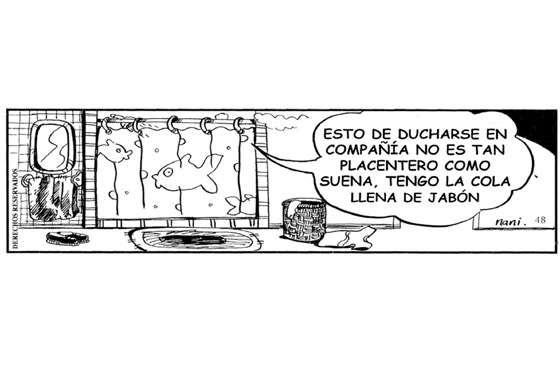 Placentero