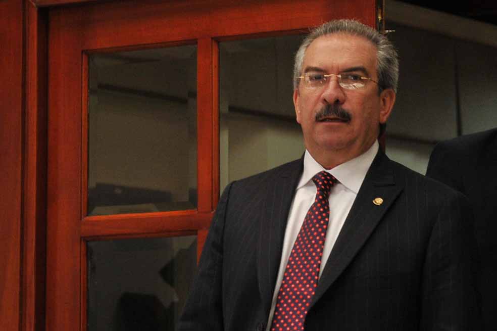 Lupa a las elecciones