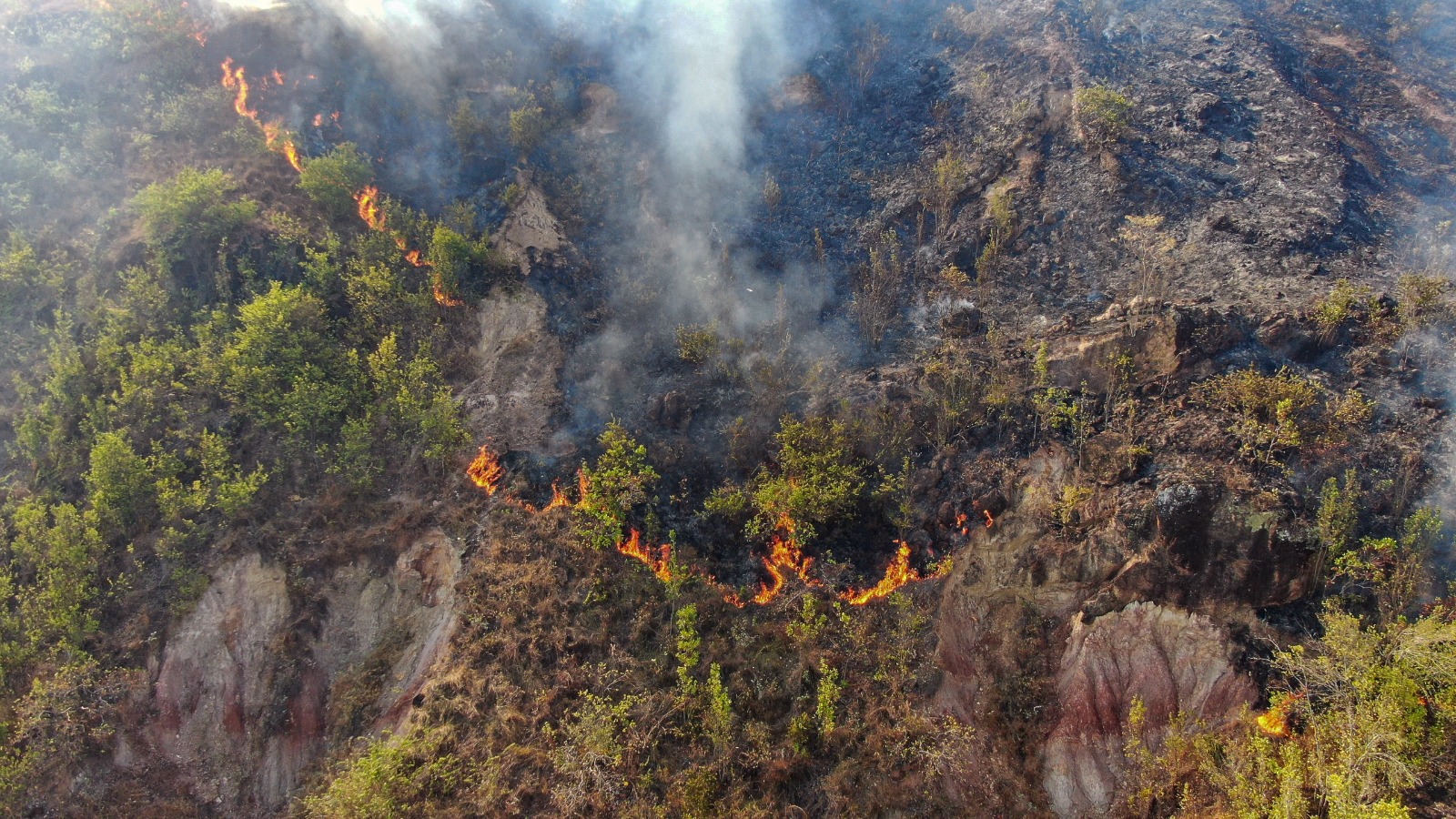 En imágenes: los incendios forestales en Tolima que han arrasado con más de 22.000 hectáreas