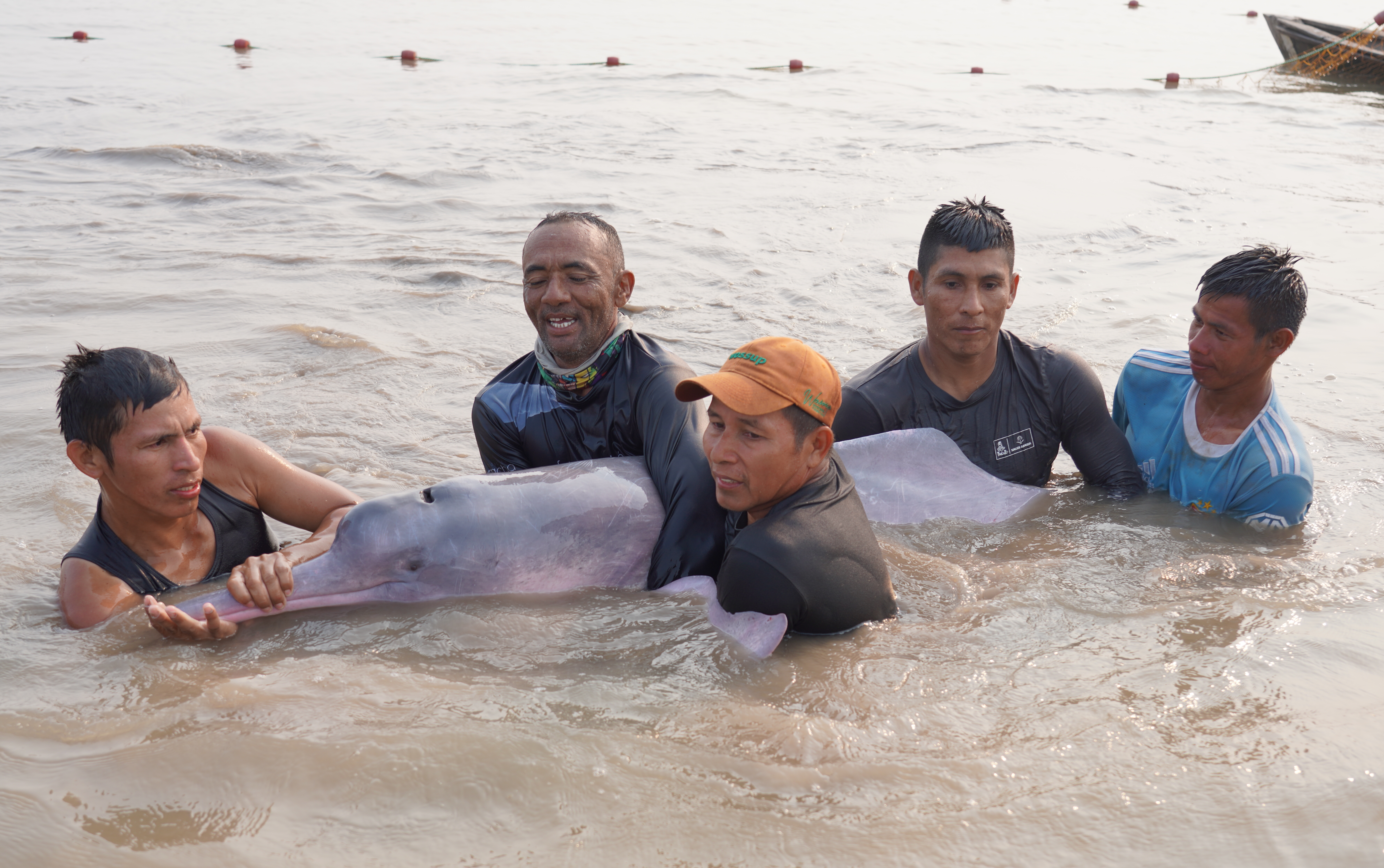 Grupo de pescadores que trabaja con la Fundación Omacha y ayuda en la captura de los delfines.