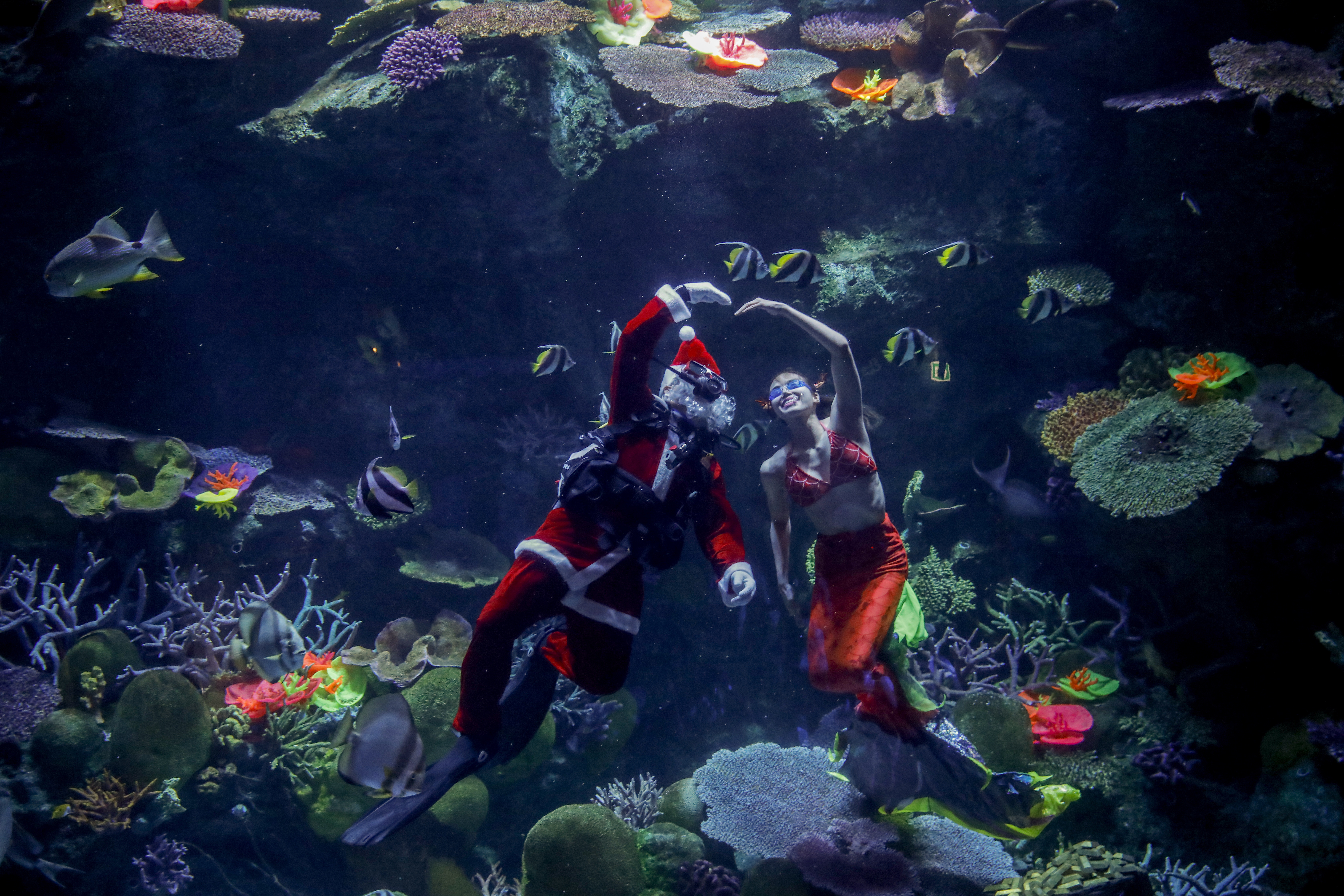 Bangkok (Thailand), 21/12/2022.- A diver dressed in Santa Claus costume and a diver dressed as a mermaid perform during a show to welcome the holiday season at Sea Life aquarium in Bangkok, Thailand, 21 December 2022. Divers at Sea Life aquarium dressed as Santa Claus and a mermaid performed for visitors during an annual special show held around Christmas, to wish happy holidays to visitors. (Tailandia) EFE/EPA/DIEGO AZUBEL