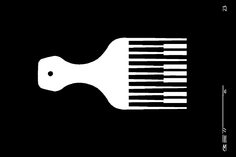 Día de los afrodescendientes