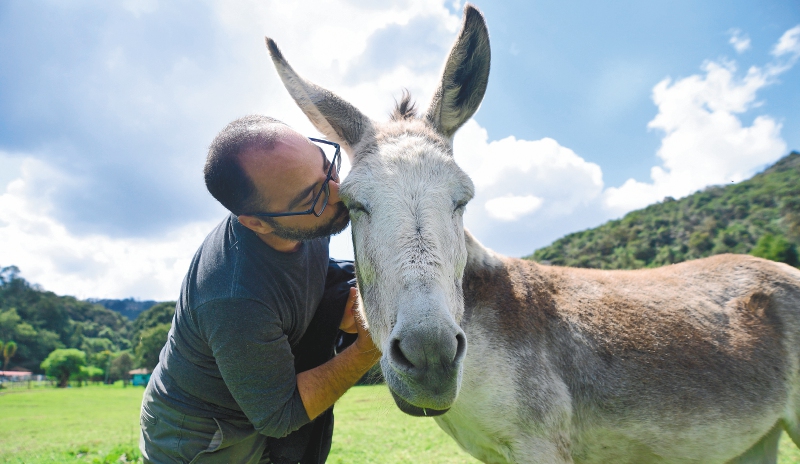 (Video) Este santuario de animales rescatados necesita su ayuda