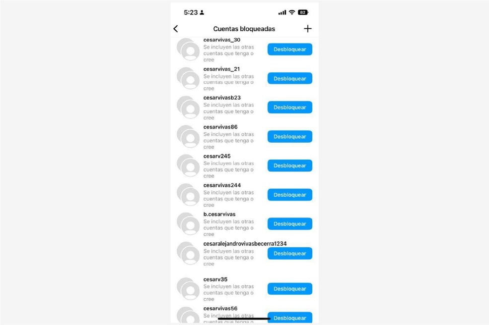 Listado de perfiles que creó Cesar Vivas en Instagram para acosar a Lina Rezk.