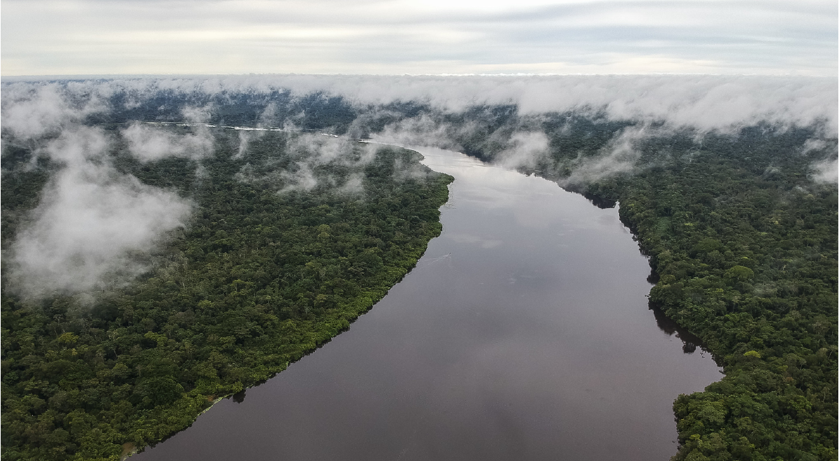 Llegó el momento de proteger la biodiversidad de Colombia desde la academia