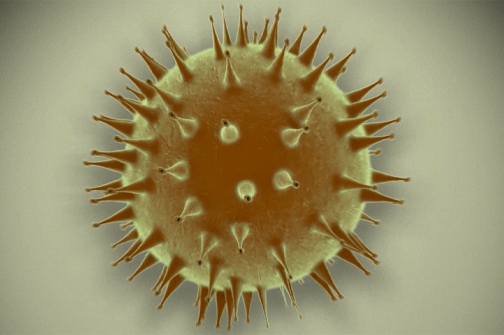 OMS: Es improbable que el nuevo coronavirus haya nacido en un laboratorio