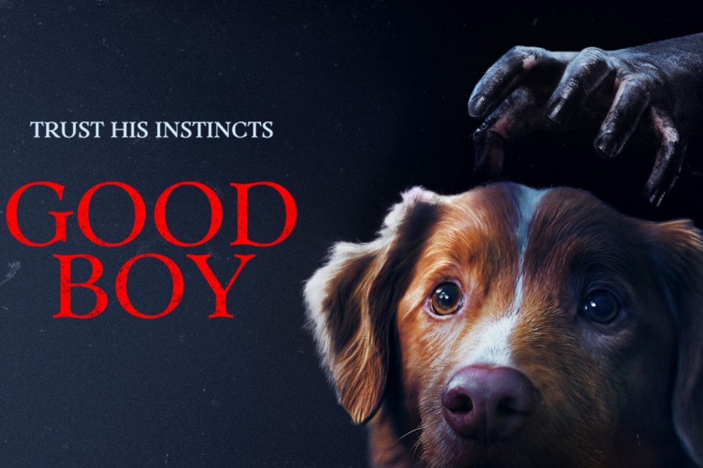 Indy, el perro de ‘Good Boy’, fue nominado a Mejor Actor en los Premios Astra