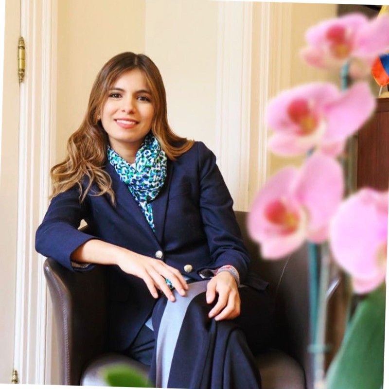 Villalba fue directora de proyectos especiales de la Cámara de Comercio de Bogotá y es afiliada al Beckman Klein Center de la universidad de Harvard.