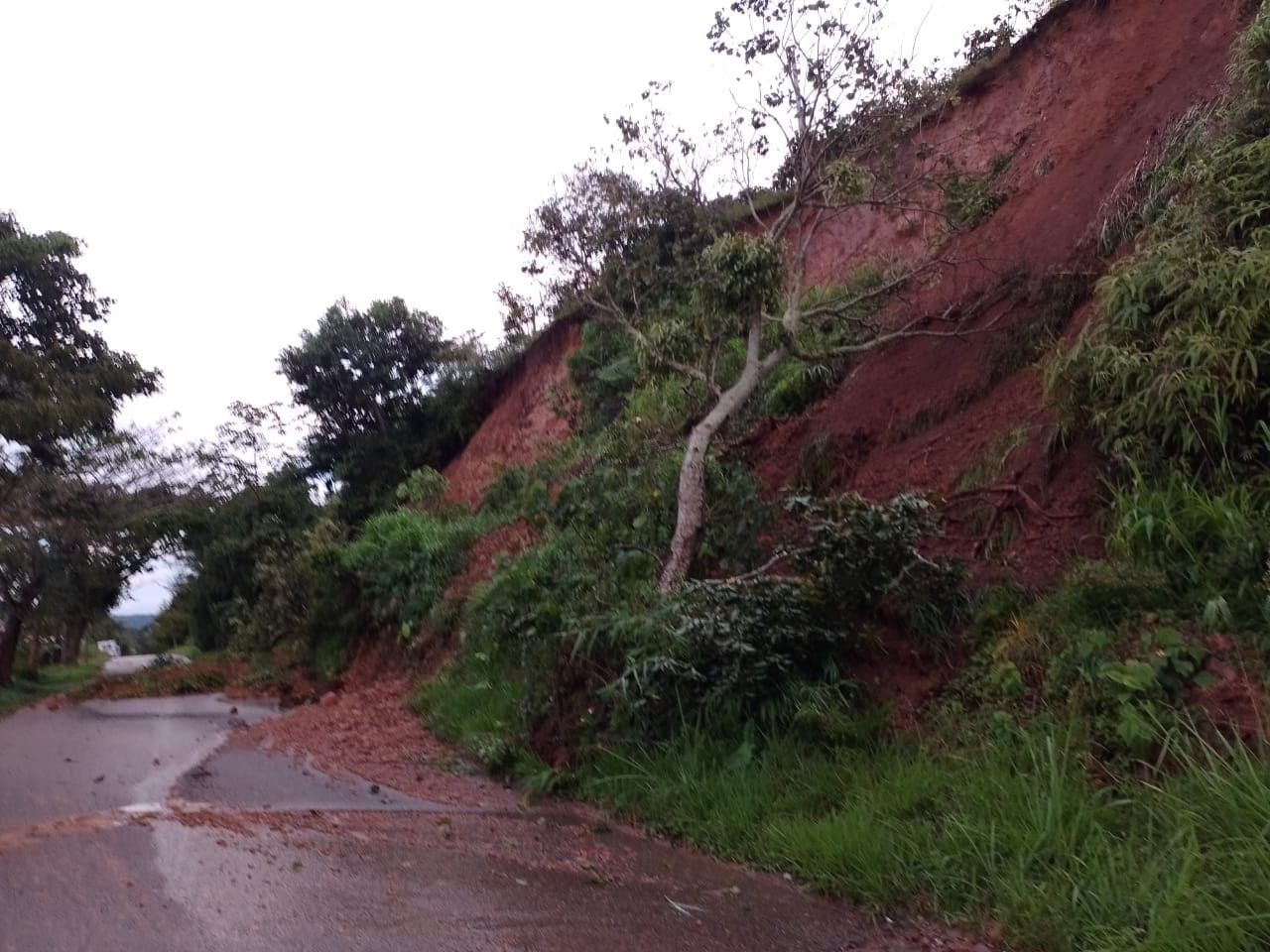 Dos niños murieron tras deslizamiento de tierra en Palocabildo, en Tolima