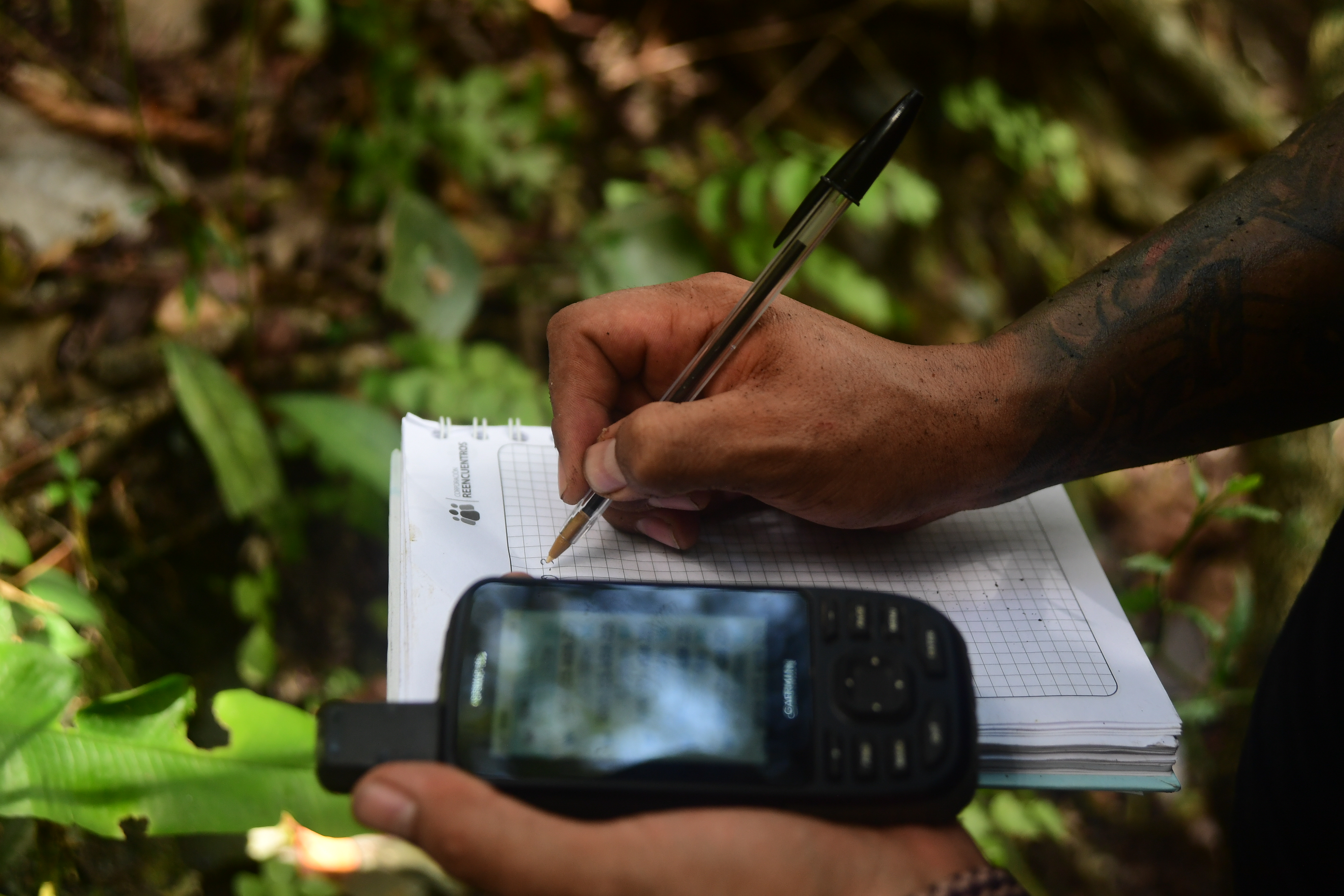 Búsqueda del cuerpo de Hernán Bustos, secuestrado por las FARC en el 2000 entre Guaduas y Villeta – Colombia +20 El Espectador