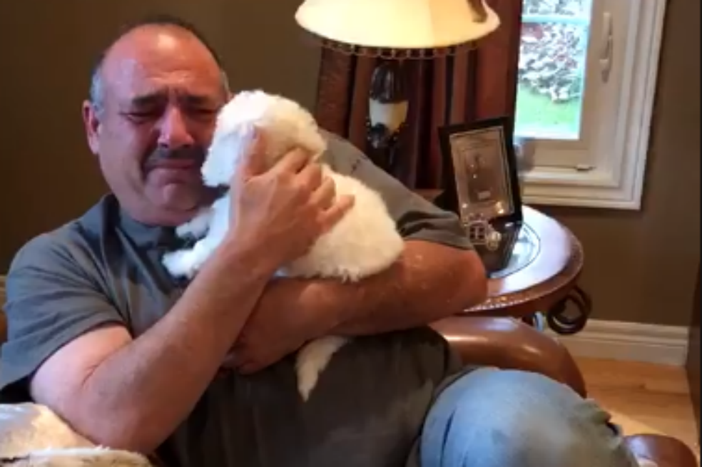 Esta fue la tierna reacción de un hombre cuando le regalaron un perro