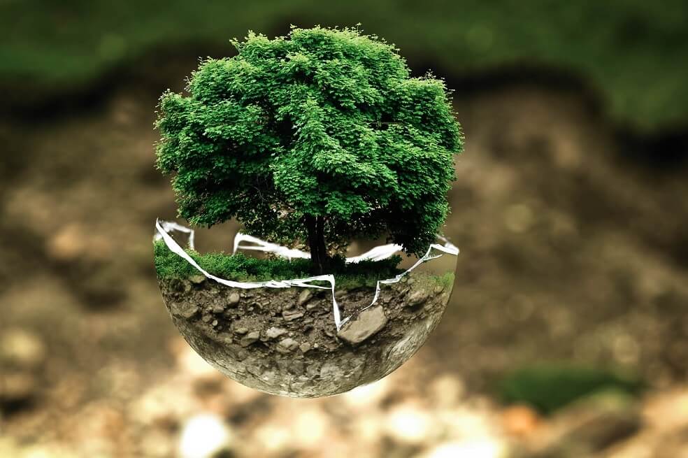 En Bogotá se premiará a las empresas con mejor desempeño ambiental