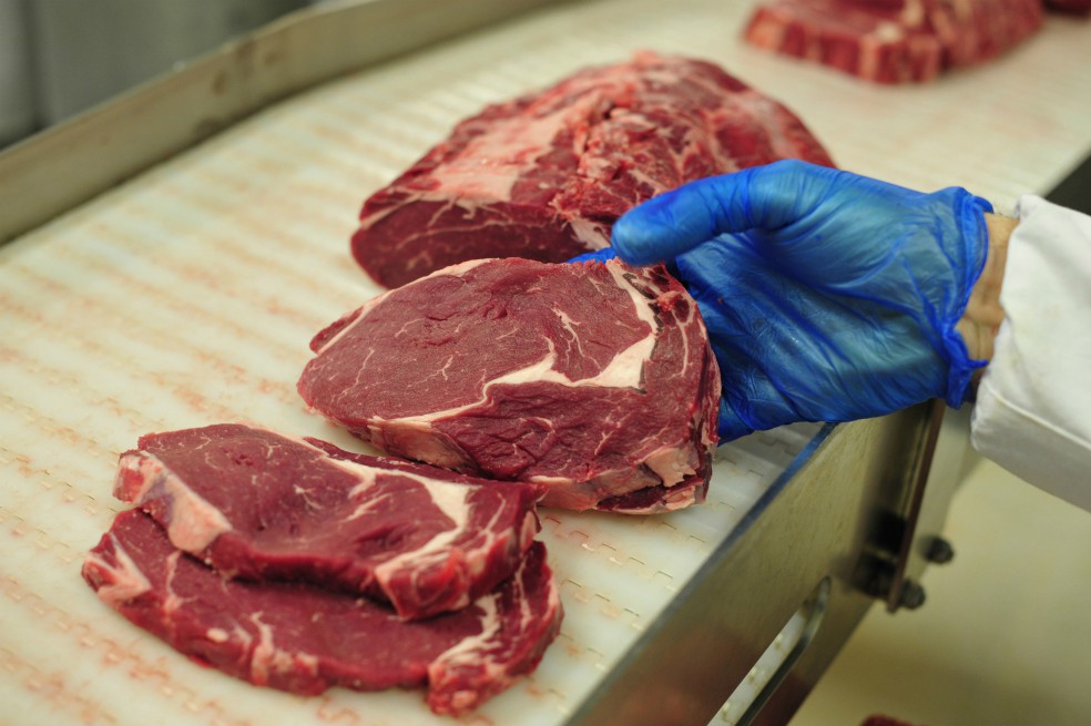 Minerva Foods compra en promedio 17 mil cabezas de ganado mensuales. / Bloomberg.