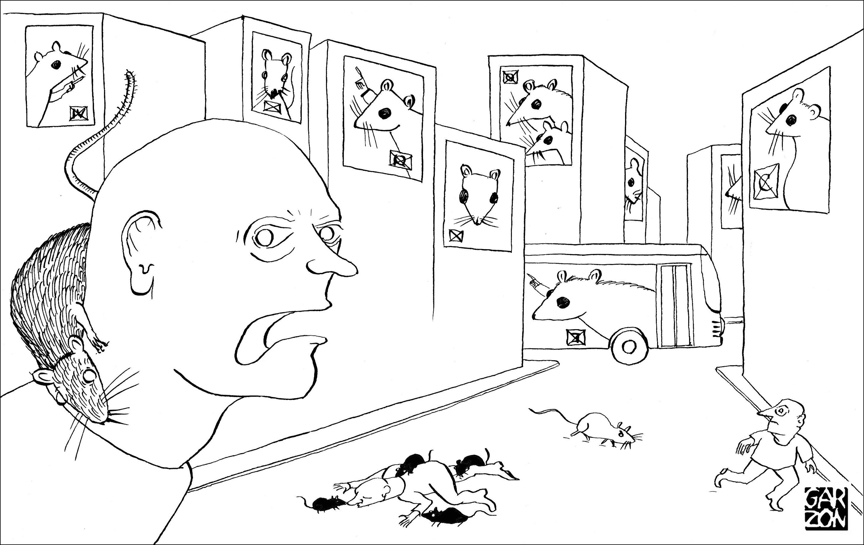 Cartones de Garzon
