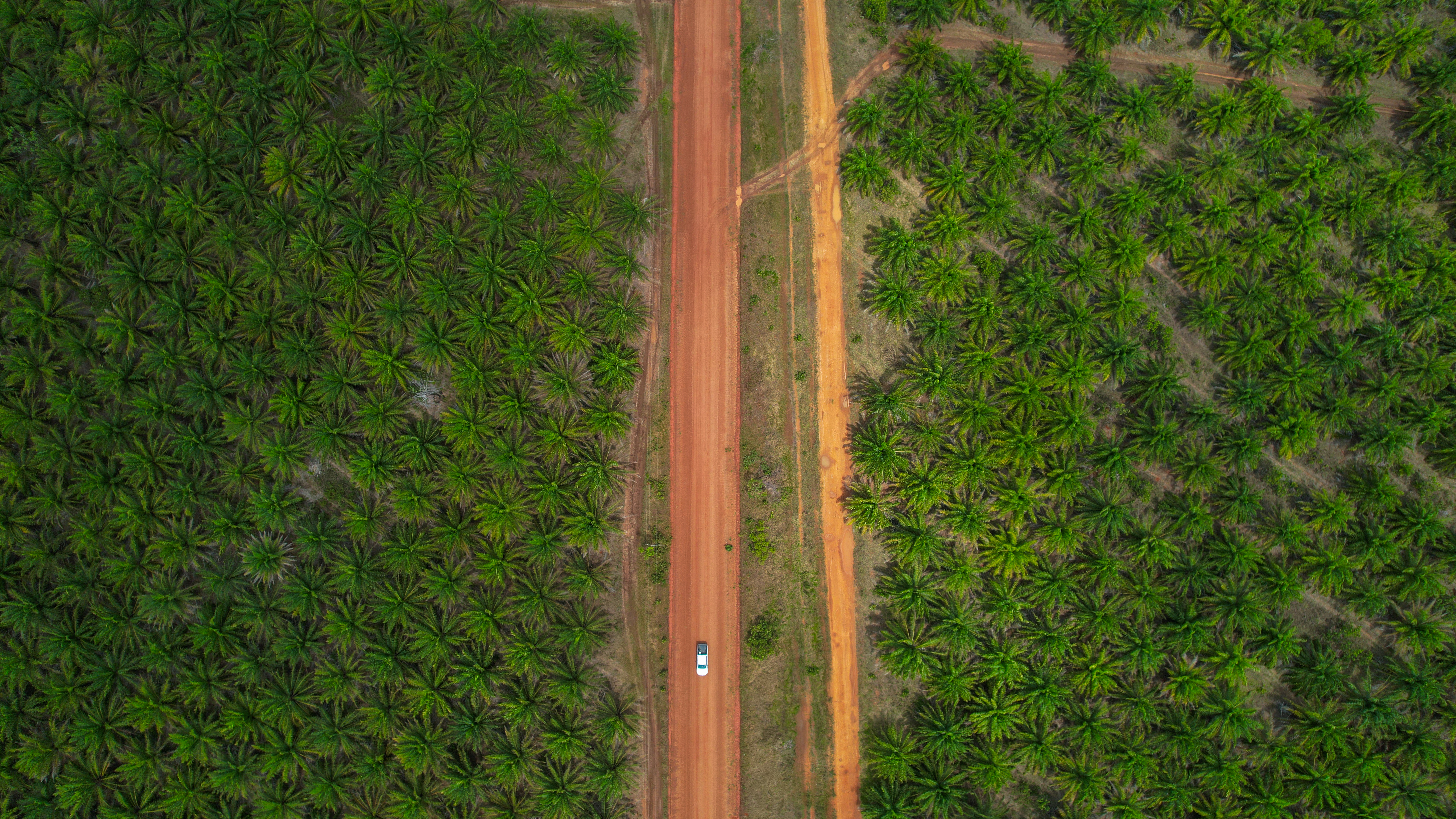 Proyecto para regular la compra de tierra por extranjeros está a punto de hundirse en Congreso