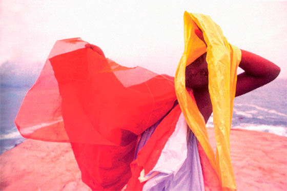 Galeria Helio