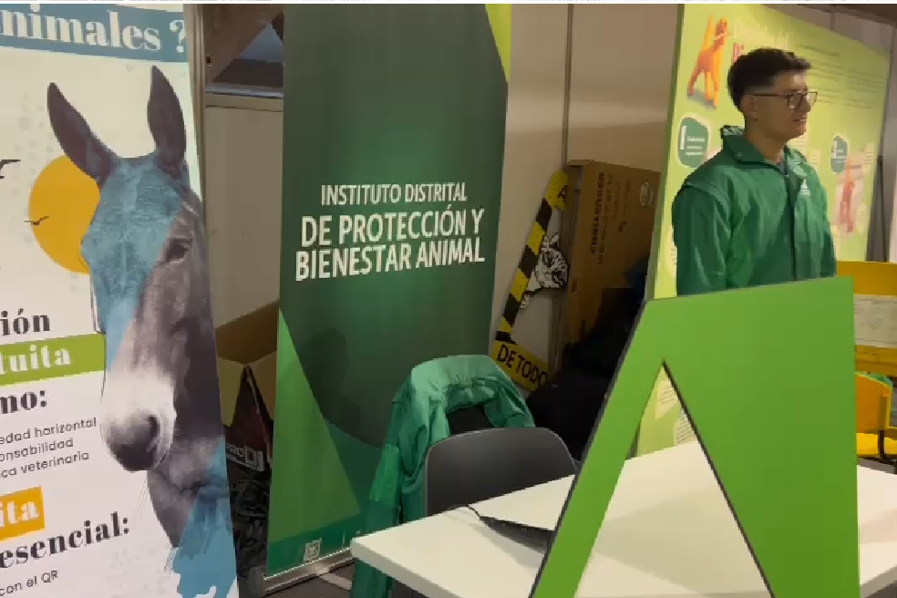 Podrá recibir asesoría jurídica gratis sobre bienestar animal: conozca lo que hace el IDPYBA