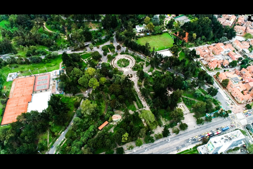 Así se vivió jornada de plantación de 620 árboles en el Parque Nacional