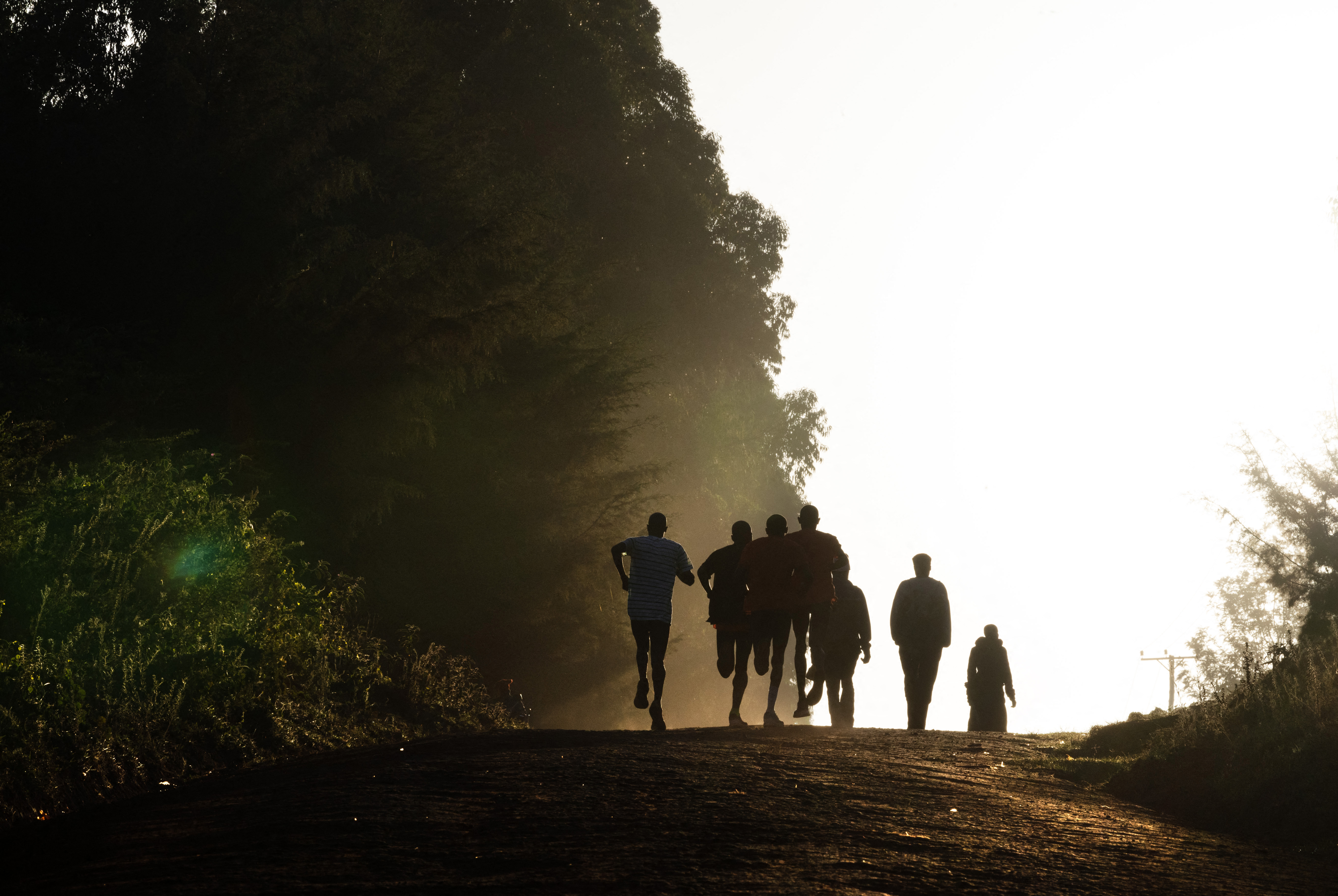 ¿Cómo evolucionaron los humanos para correr largas distancias?